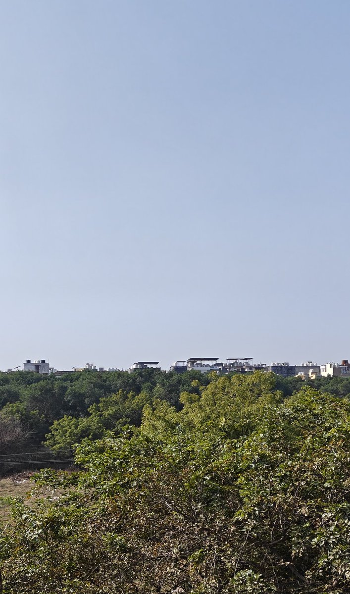 Rohit_p__'s tweet image. Ye itna saaf kaise dikh raha hai Prabhu 🥹🥹

#DelhiPollution