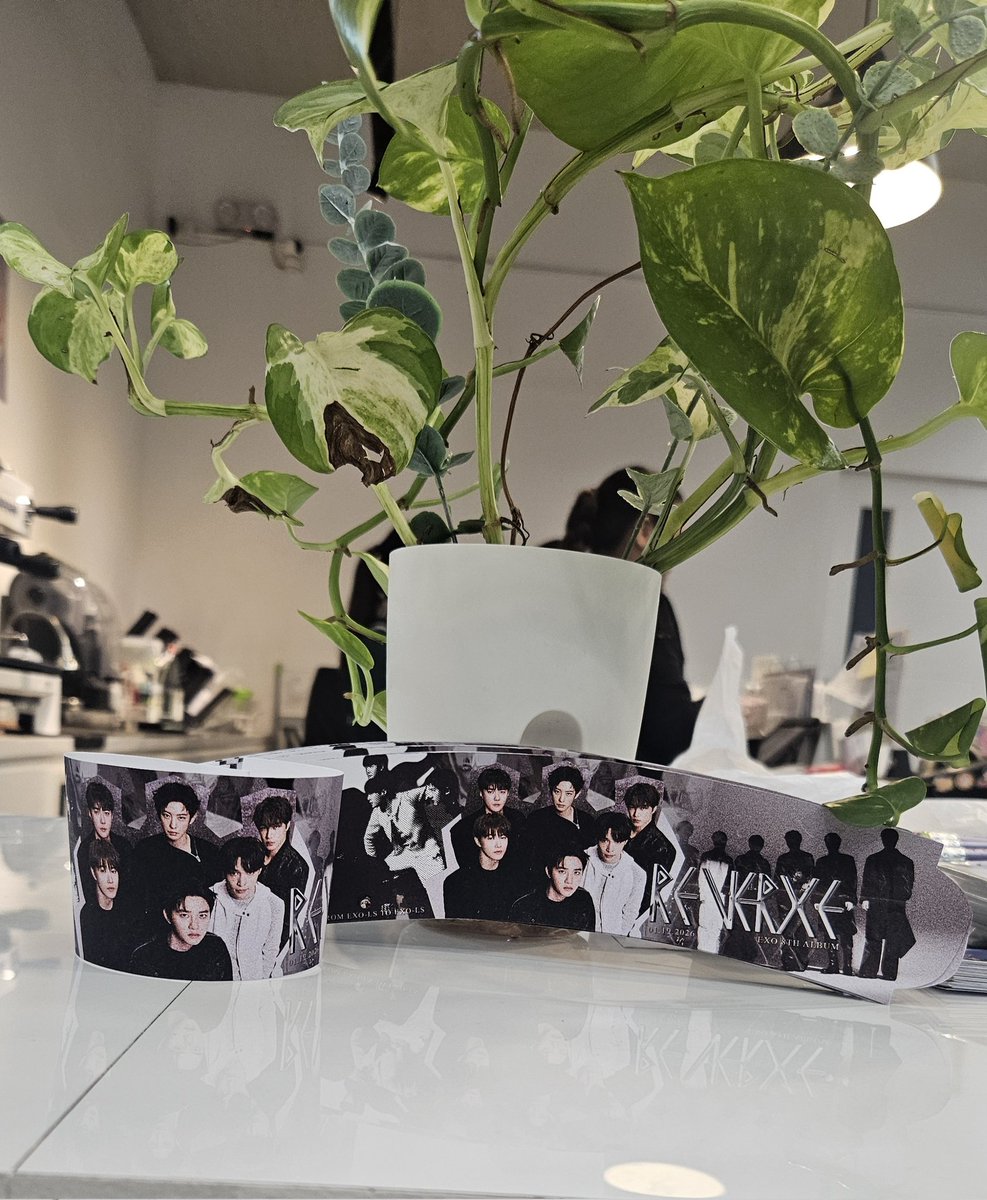 chogishop__ tweet media