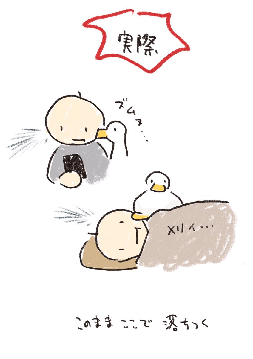 あひるの近さ　参考