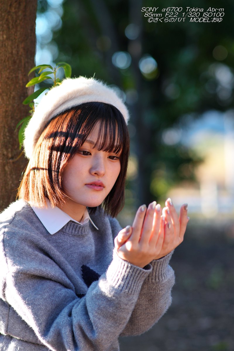 🇺🇦さくら🐇のパパ🇯🇵高配当株に移行中🇺🇦 (@K70_55) / Posts / X