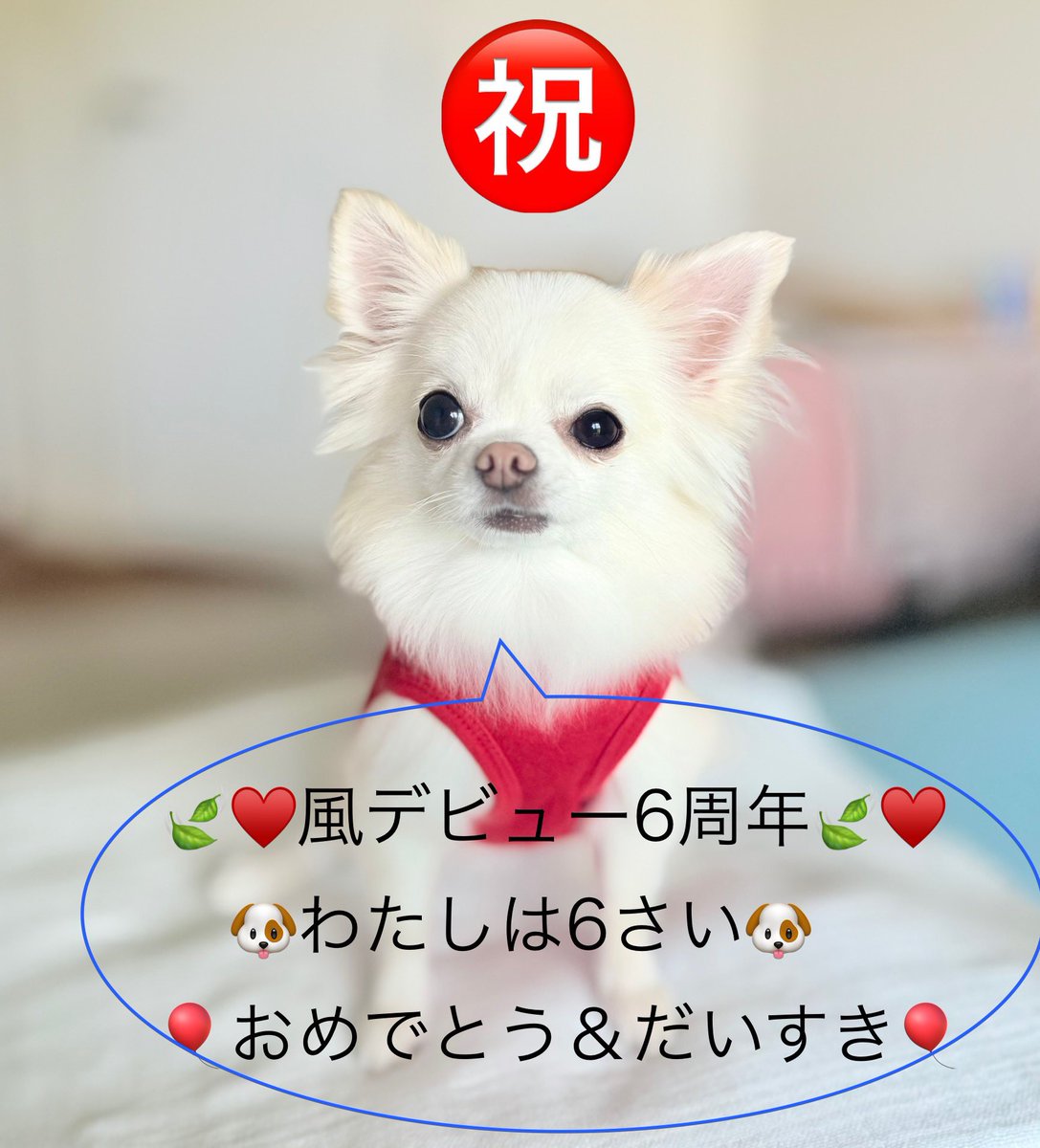 クマゴロウ♥️ (@kumagoro___32) / Posts / X