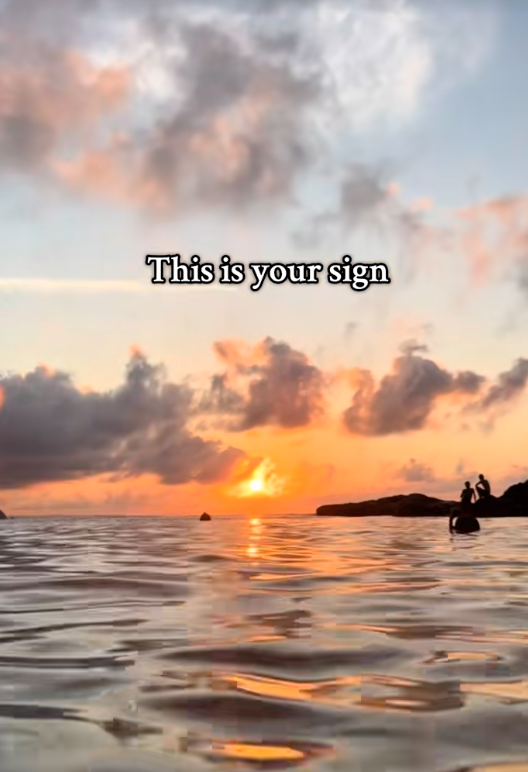 percIn40's tweet image. 