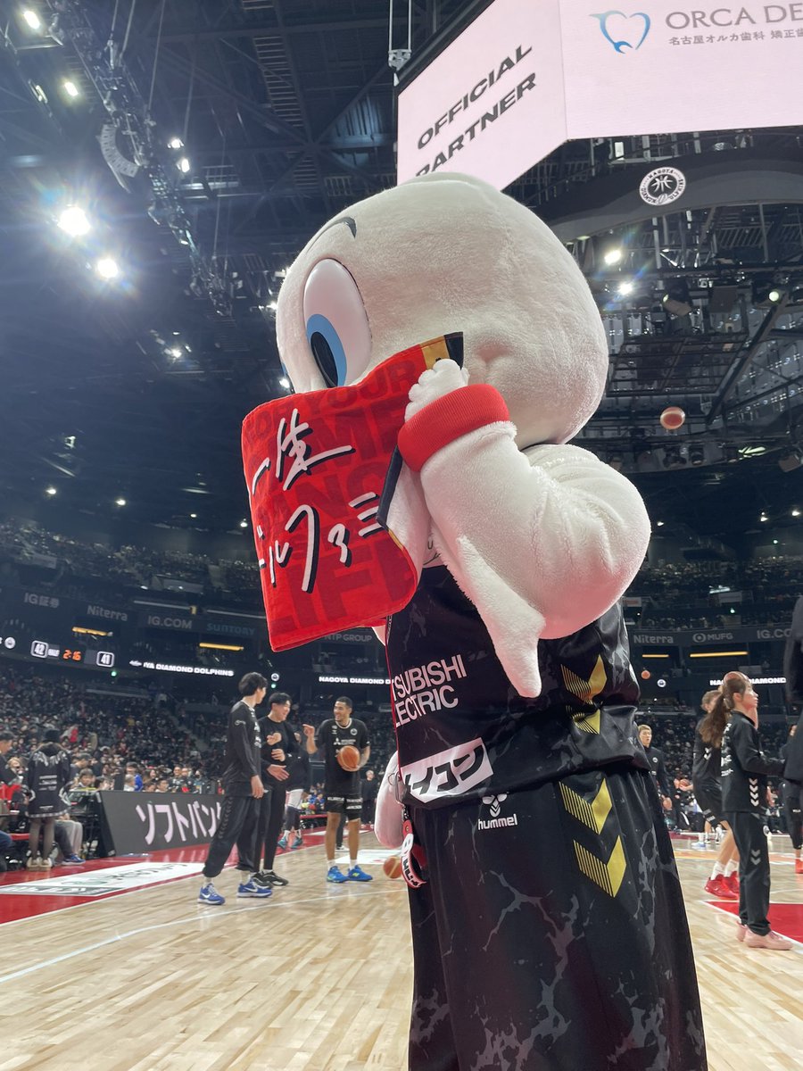 俺たち一生ドルファミ タオル！ を見つけて嬉しくてたまらない #ディー