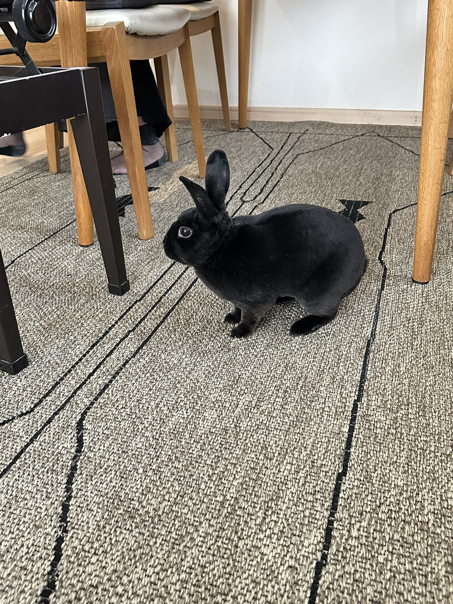 シリくんに会いに来た❤️

可愛い～～～～