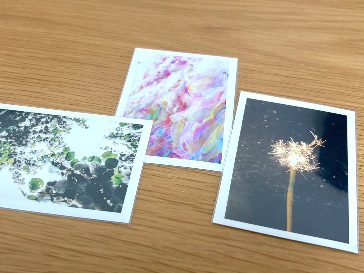 昨日出会ったお写真(左から順に) 1枚目:ぽこぽこしてて好き