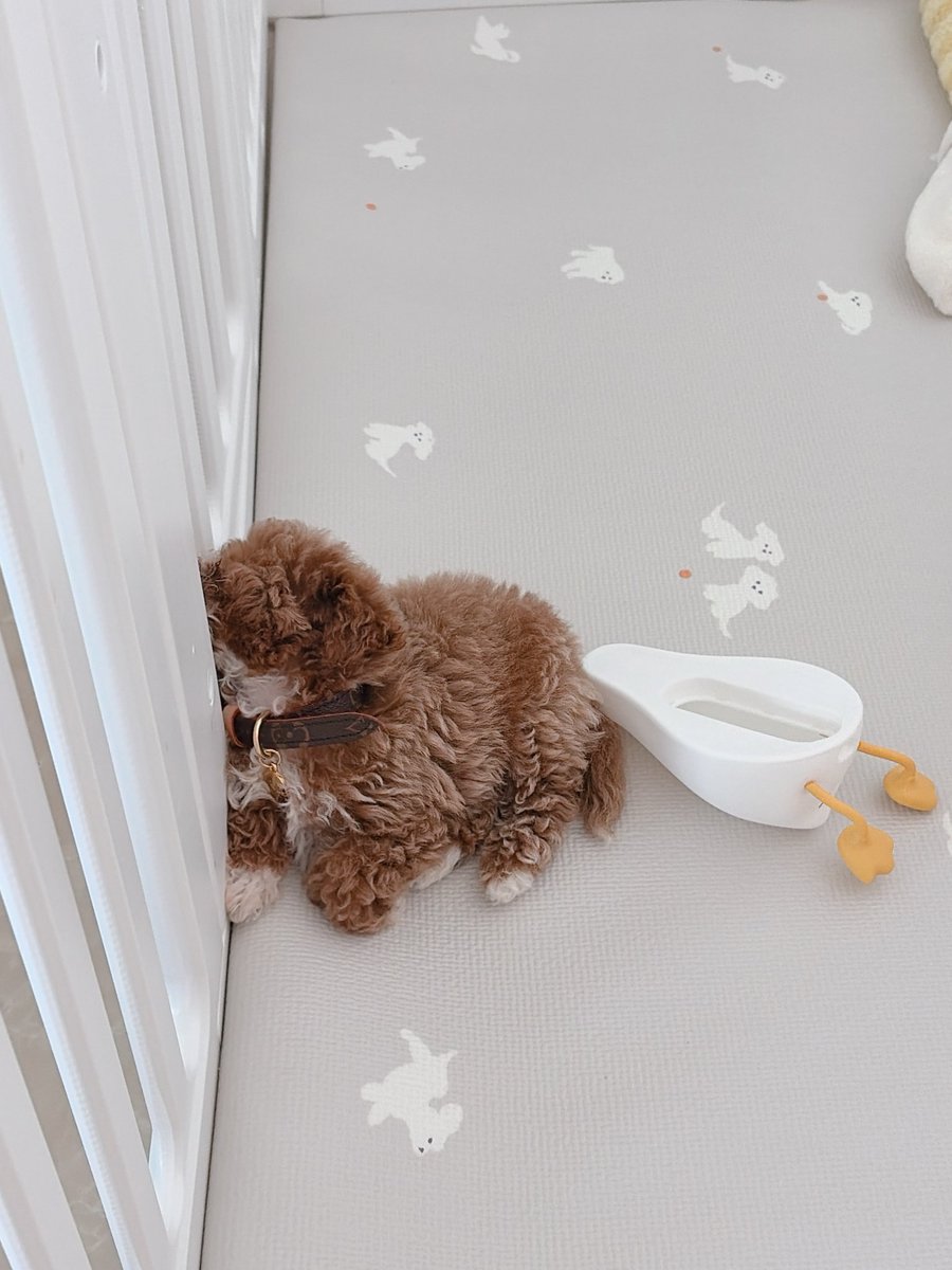 ดูเป็นเด็กเอาแต่ใจ ขี้โมโห แต่สุขุม อินโทรเวิ้ด