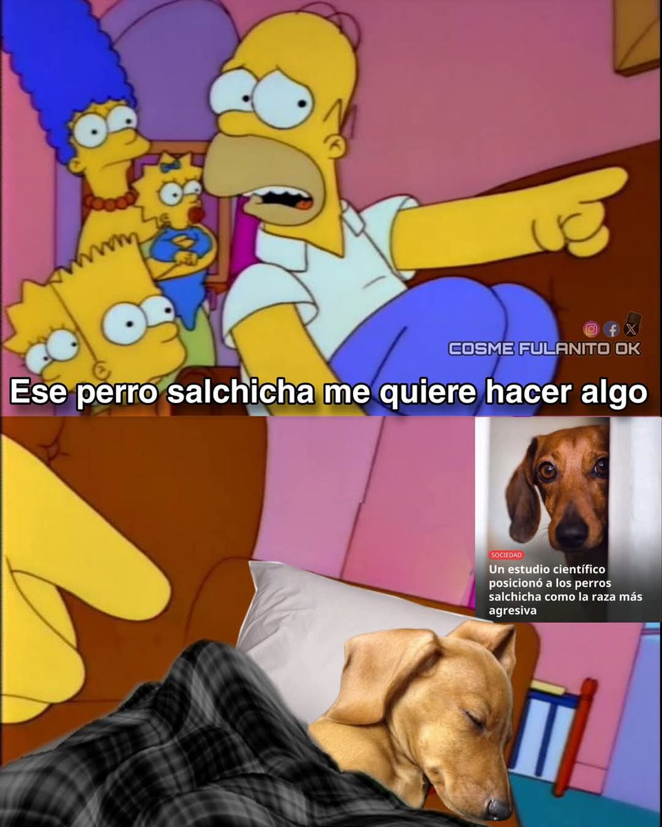 Jaime Villalón 🌐 tweet media