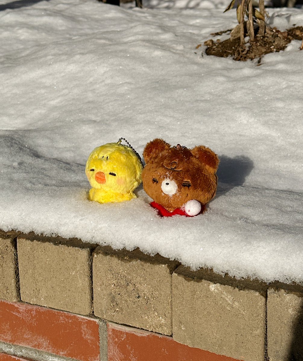 ❄️🐻🐥❄️