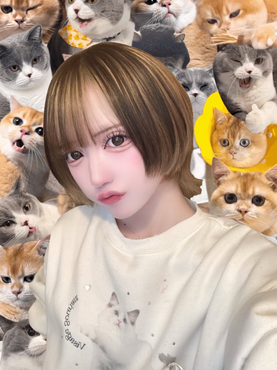 Shebat_hw's tweet photo. 💜本日(1/24)出勤の魔女💜

BARtime(19:00-23:00)
小紅@kobeni_Shebat  
うた@_uta1201_ 

NIGHTtime(0:00-5:00)
もち@_mochi_nyan 
あお@aochian_ https://t.co/oigPIOB8D0