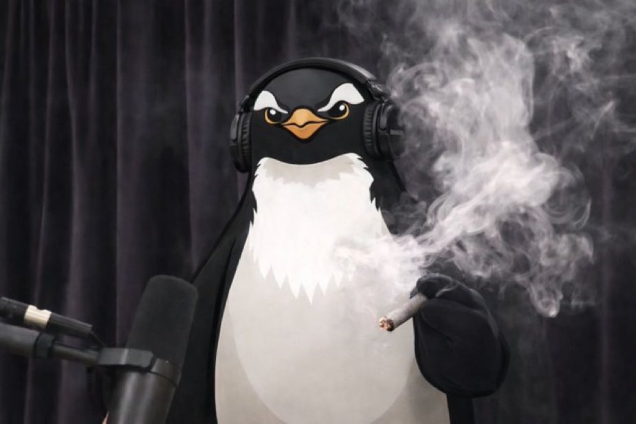 GanjaNinja🥷(🦍,🦍) (@ginja888) on Twitter photo 