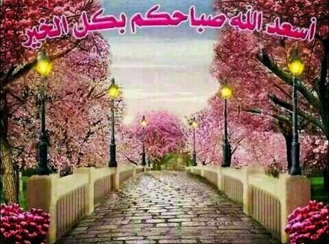 أللهم انت السلام ومنك السلام تباركت ياذا الجلال والإكرام