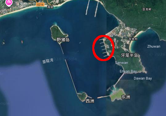 🌸Hiro(๑•̀ㅂ•́)و🐈🐾 (@hiropon4m) / Posts / X