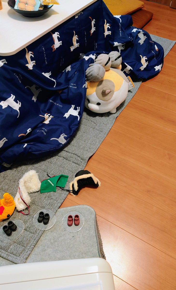 尾形かなで🌿ぬいと日常 tweet media