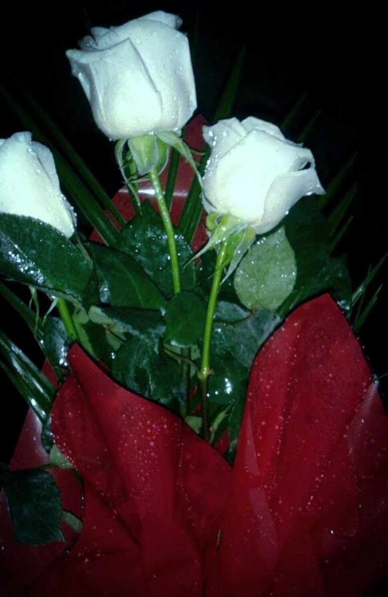 لا إله إلا الله أصبحنا وأصبح الملك لله والحمد لله والصلاة والسلام على رسول الله صل الله عليه وسلم