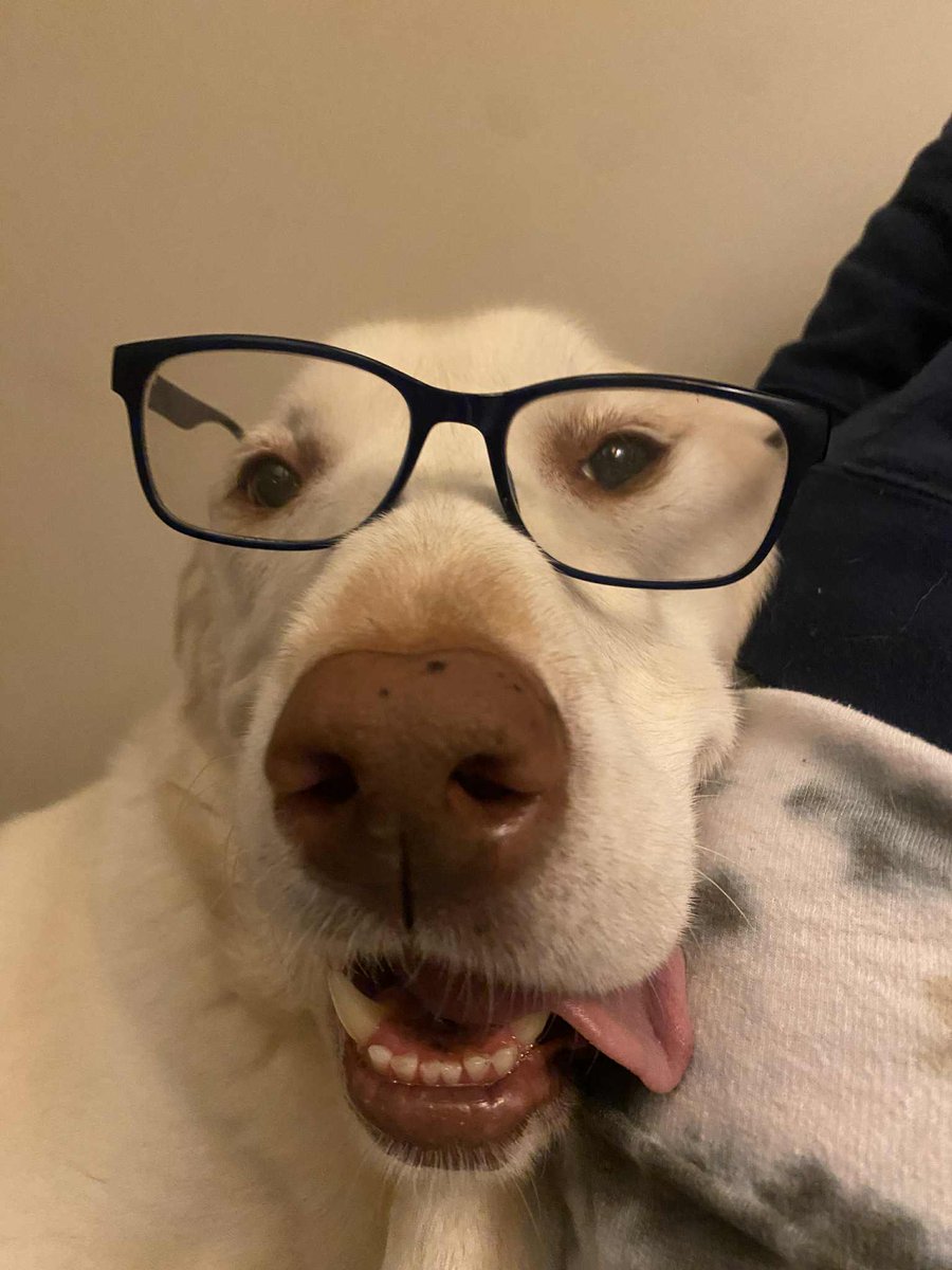 My channel mascot. A refined modern gentleman in his natural habitat.