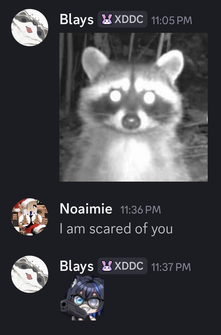 Blays 🦝 tweet media
