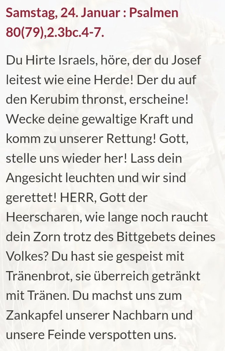 "Gott, stelle uns wieder her! Lass dein Angesicht leuchten und wir sind gerettet!"

Mit dieser Bitte aus dem heutigen Psalm wünsche ich euch allen einen gesegneten und schönen Tag!