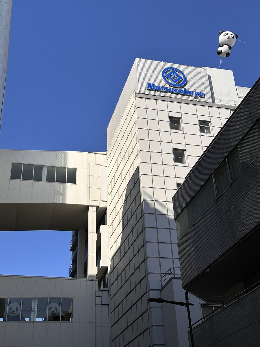 飛んでま〜す🐼
2026.1.24  10:09