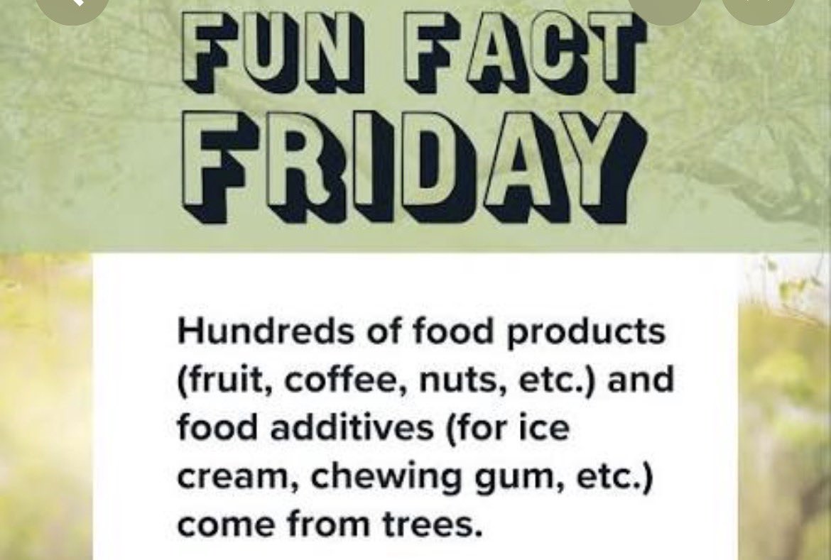 Princess Suzanne 💜🙏🏻✝️ tweet media