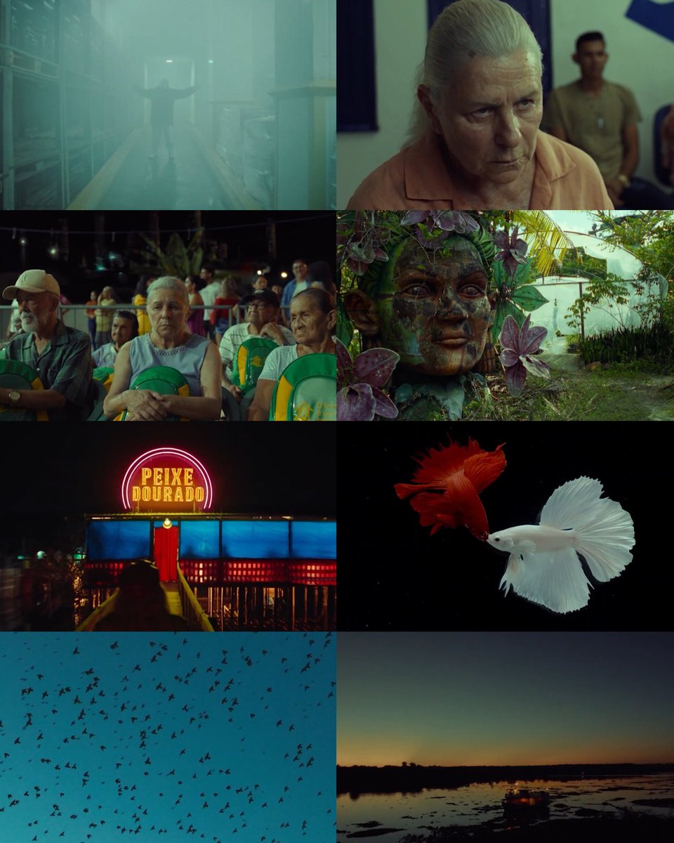 CINEMA505's tweet image. O Último Azul (2025) Dir. Gabriel Mascaro