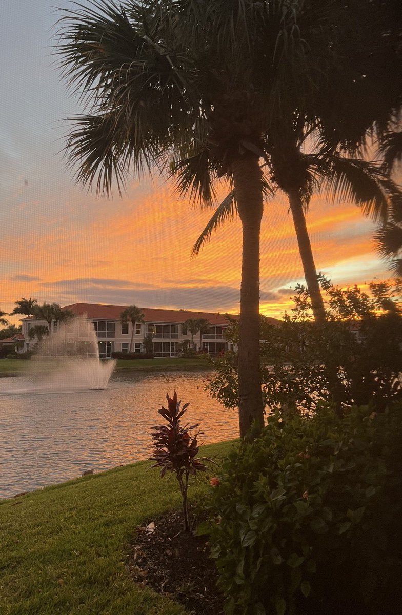 Michael🇺🇸 tweet media