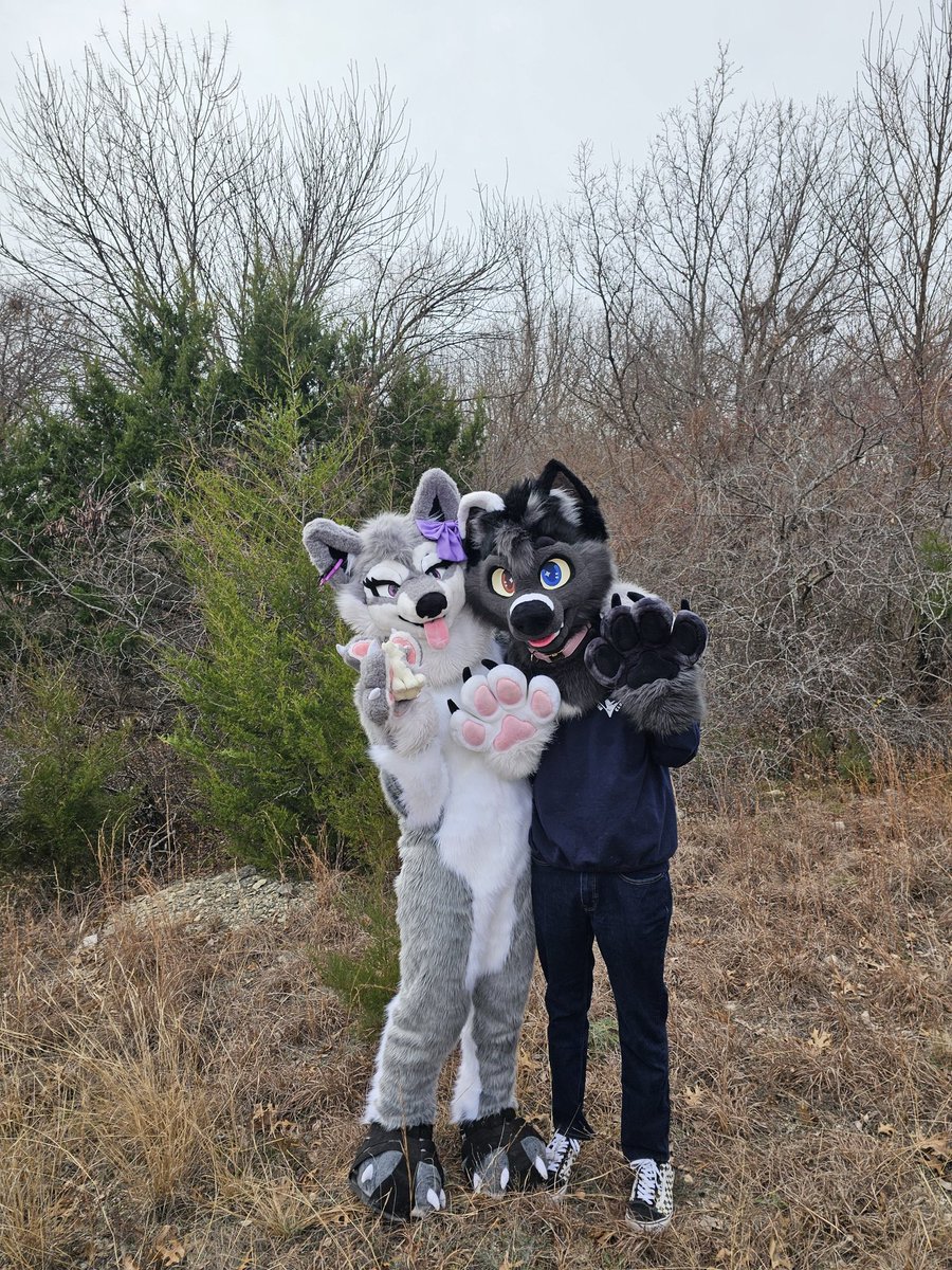 AxiTheWusky's tweet photo. Chillin with @JessKitty314 
#FursuitFriday https://t.co/j2r0FJ5WER