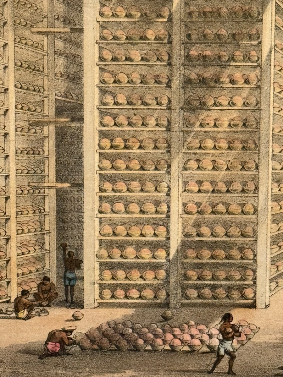 William Goetzmann tweet media