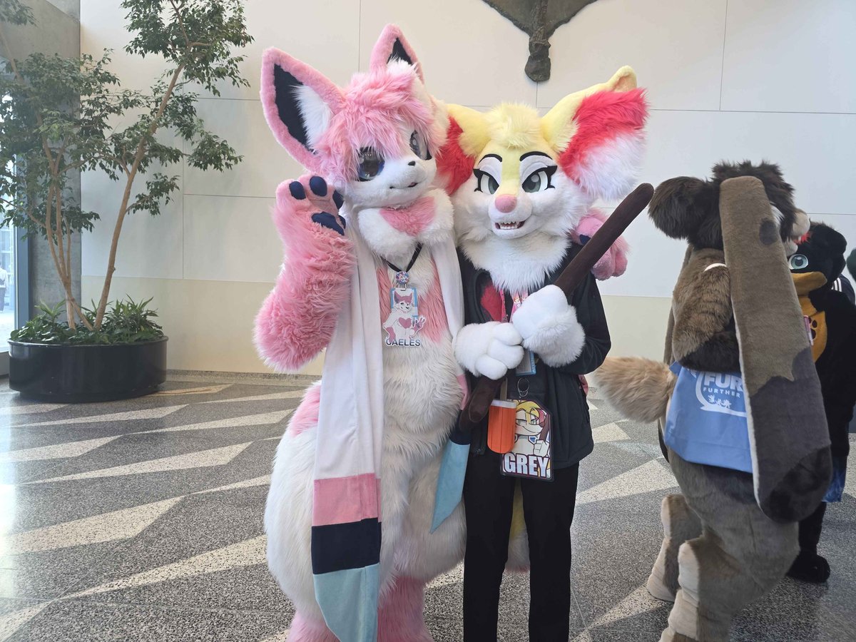 Caeles the Sylveon tweet media