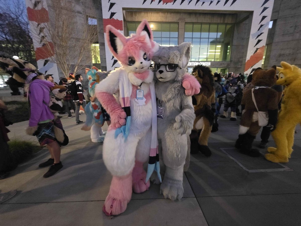 Caeles the Sylveon tweet media