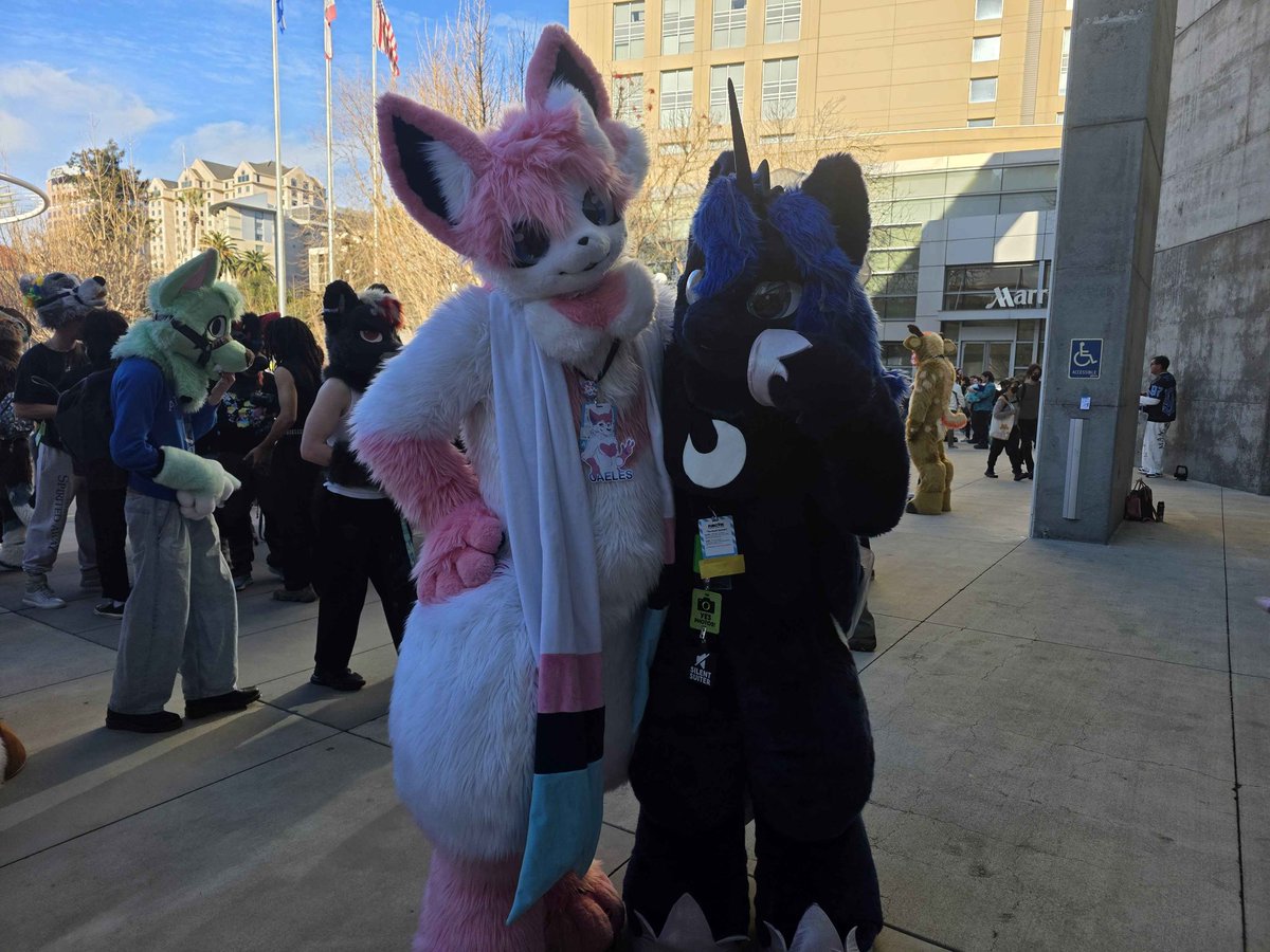 Caeles the Sylveon tweet media