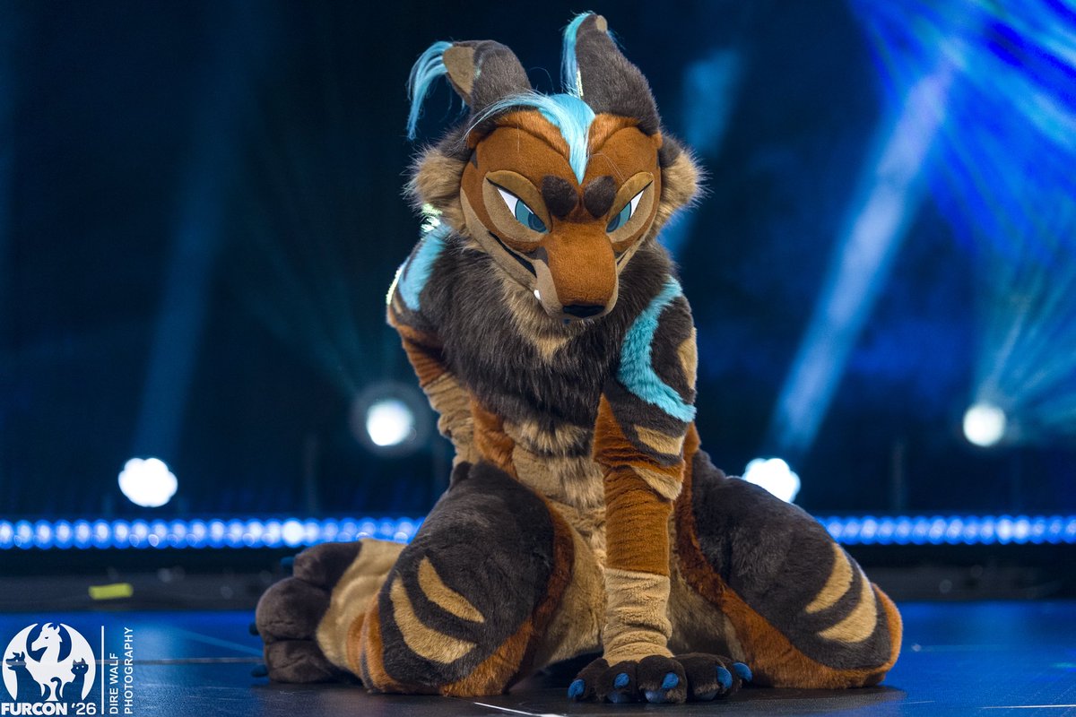 Dire Walf tweet media