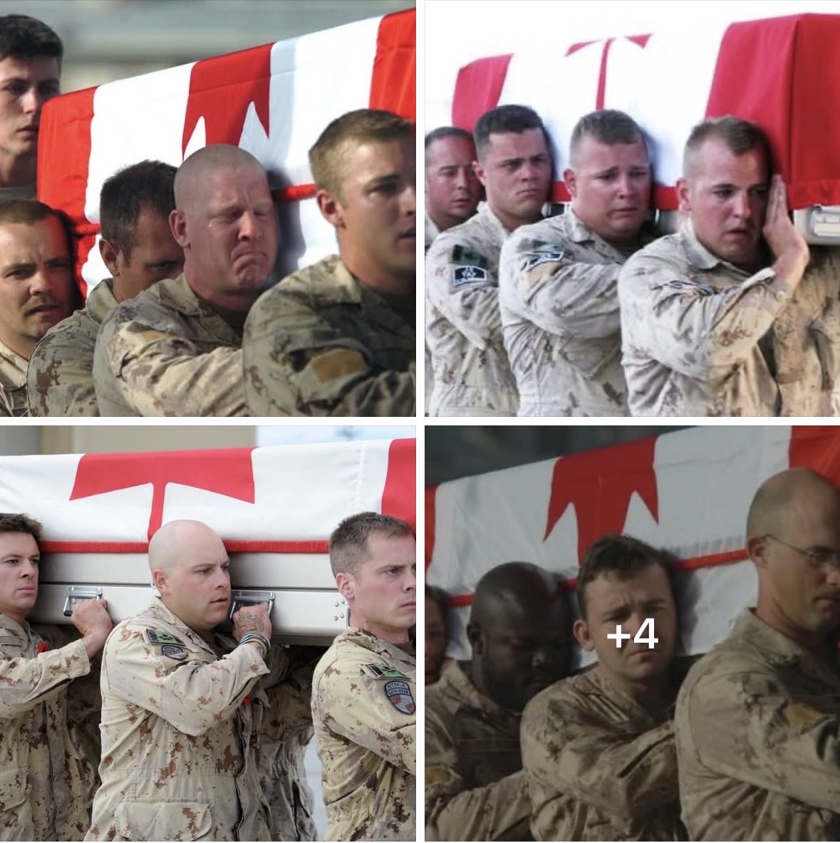 William Cherniak tweet media