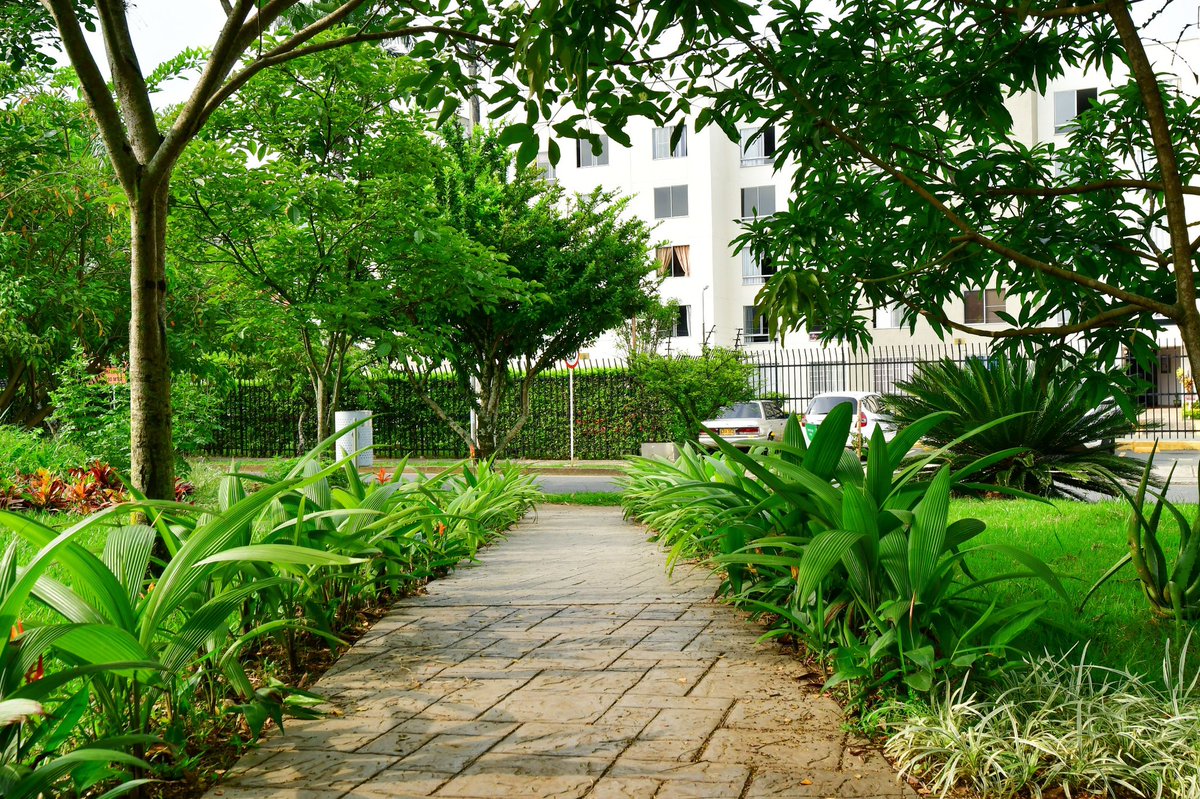 Más de seis años esperaron los niños y las familias del barrio #ValleDelLili para que alguien recuperara su parque.

Aquí vine en campaña, escuché a la comunidad y me comprometí a transformar este espacio que queda en la carrera 102 y a pocos metros del humedal El Cortijo, en un