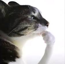 thinicherry's tweet image. I started watching the amaming digital circus and it has me like this, what about my theory that they're not connected to something I mean the real ones, but rather they were and Cain copied, lets say "data," and what we see is a file and they literally they can't get out?