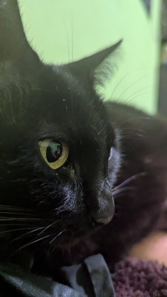 Mi real hasta la muerte, siempre sabe cómo me siento y está aquí