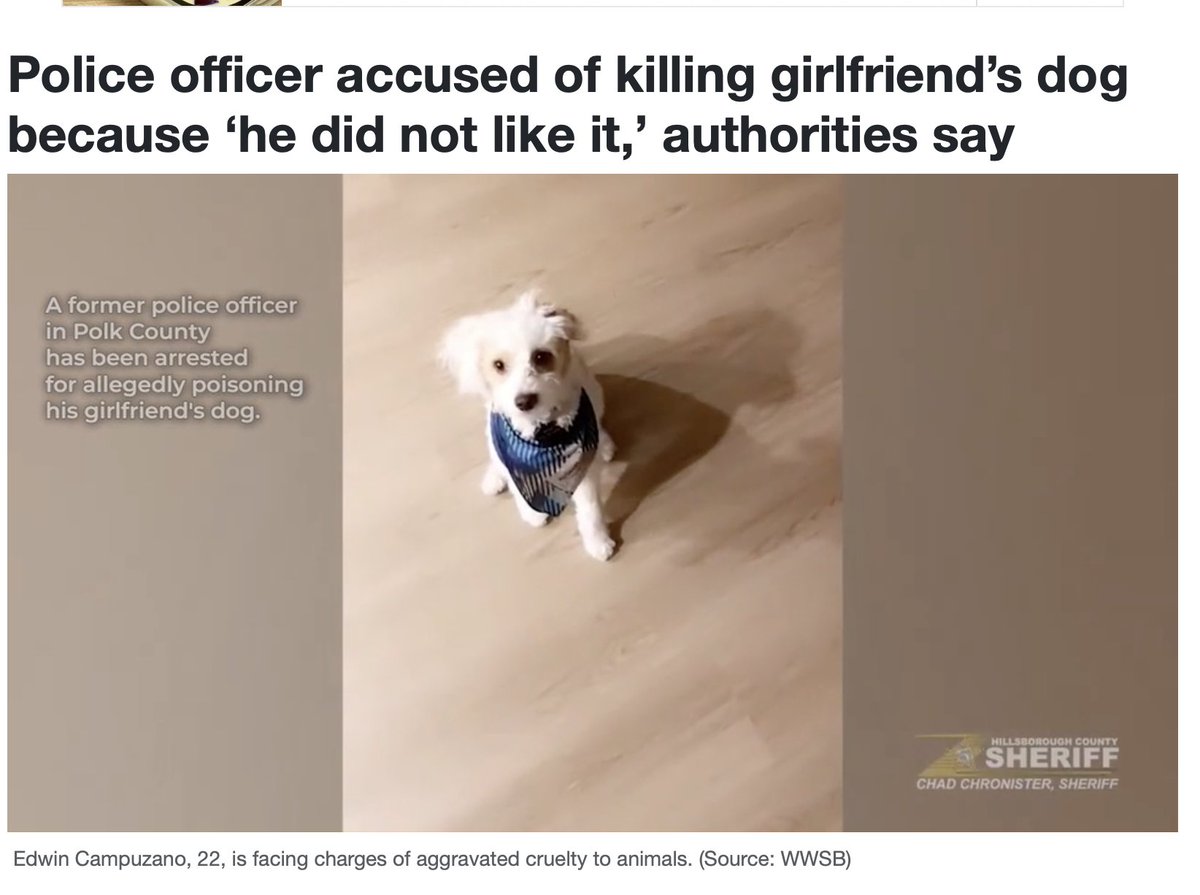 drcrystalheath's tweet image. He did it with rat poison. 

A culture that finds it acceptable to poison "pests" they don't like will eventually poison "pets" they don't like, and may even poison girlfriends they don't like. 

#animalcruelty #animalabuse #domesticviolence