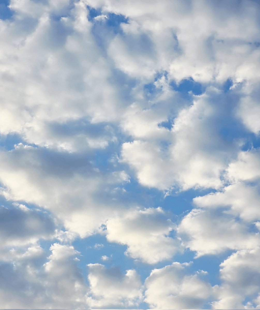 เดินออกไปใส่บาตรด้วยความมั่นตอน 7.15 สรุปวันนี้วันเสาร์อาทิตย์พระท่านมารับบาตรตั้งแต่ 6.30 ไปไม่ทัน จบข่าว 😅🙏🙏💙 แต่ท้องฟ้าวันนี้สดใสมาก