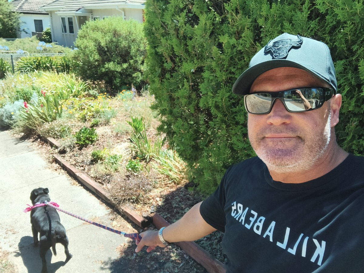 RAINBOWKING tweet media