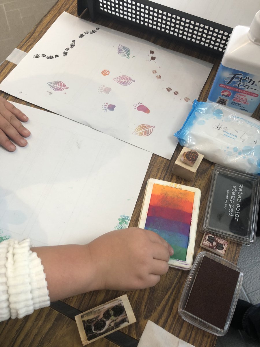 二戸シビックセンターにて展示開始しております🧸 クマの毛皮や頭骨は