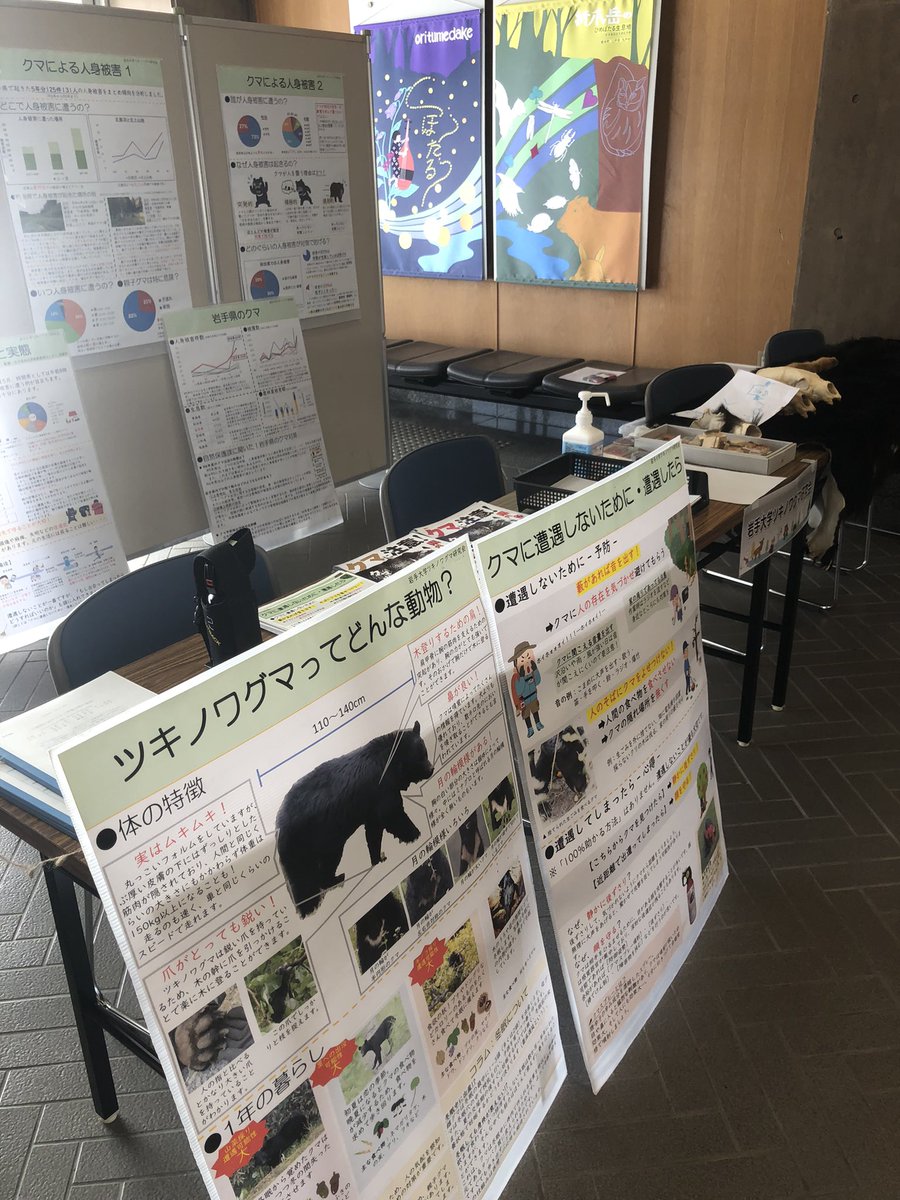 岩手大学ツキノワグマ研究会 tweet media