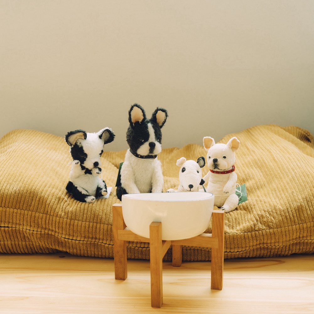 ゆっち mironuts𓀫 (@mironuts) / Posts / X