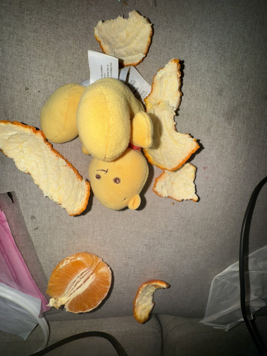 tonymfhawk's tweet photo. my masc isn’t here have 2 peel my own oranges :/ #warishell https://t.co/NW6MAZ1DxO