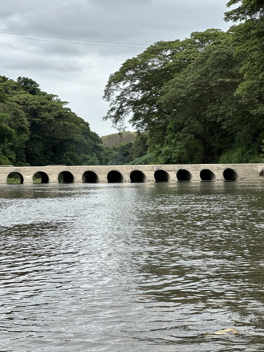 IINEVIITIIS tweet media