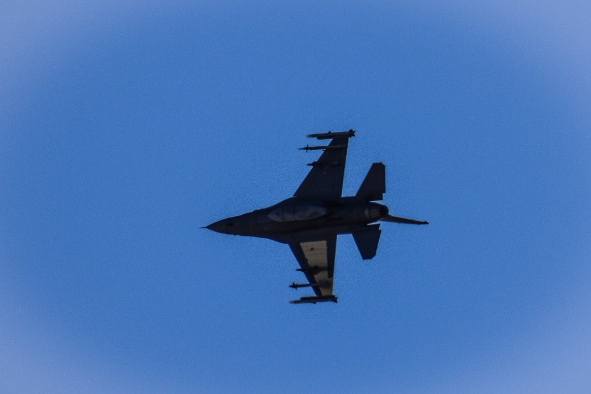 🌹🌹 Mary 🌹🌹 tweet media