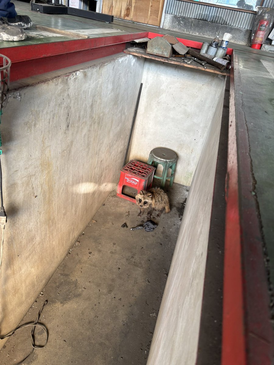 とっつあん tweet media