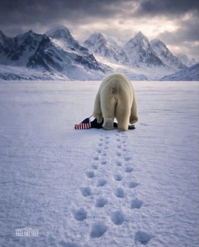 枫叶留声机 tweet media