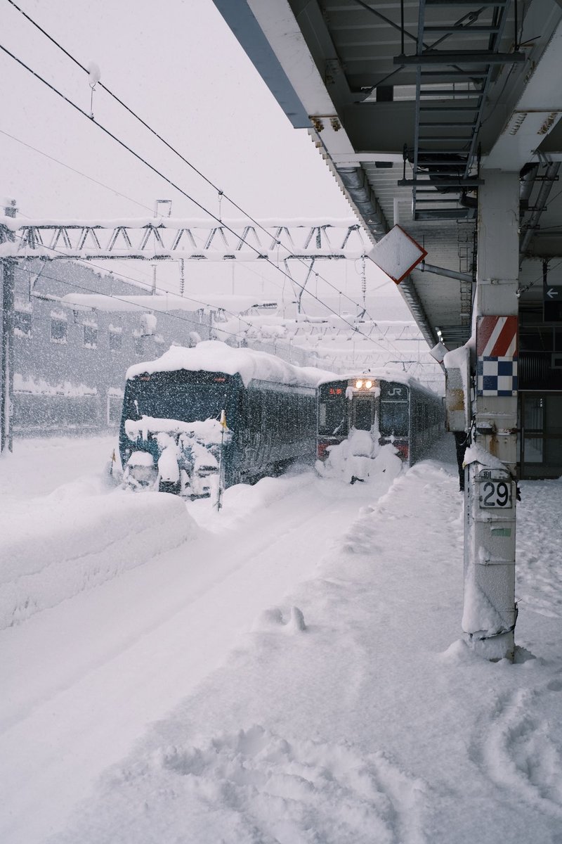 Re_Satoshi_F's tweet image. 現在の青森駅。
駅のホームにいるのか、外にいるのかわかんないくらいの積雪量。

JRすごいな。
よくここまで運んでくれたものだ。
にしても飛行機飛ぶかな。