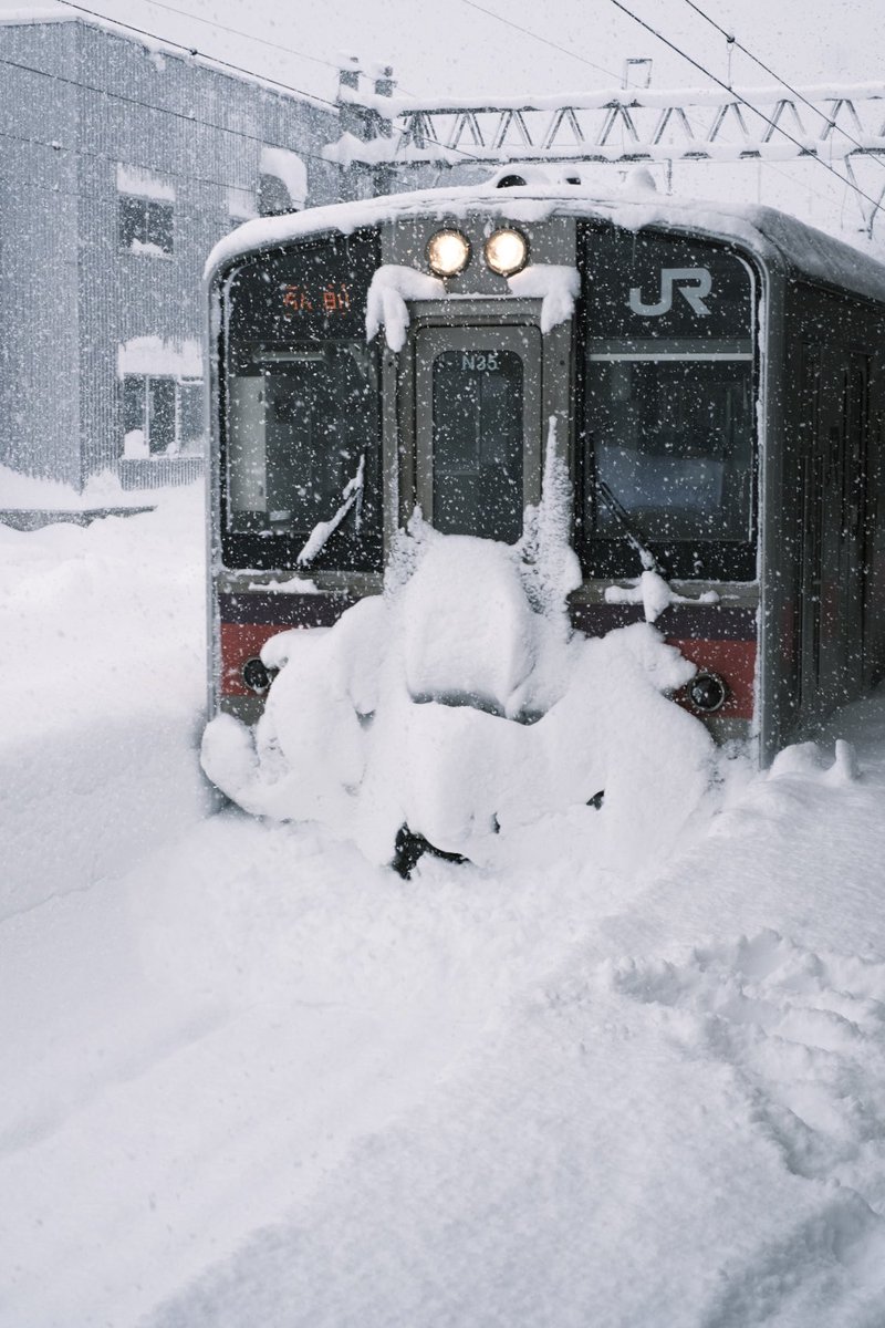 Re_Satoshi_F's tweet image. 現在の青森駅。
駅のホームにいるのか、外にいるのかわかんないくらいの積雪量。

JRすごいな。
よくここまで運んでくれたものだ。
にしても飛行機飛ぶかな。