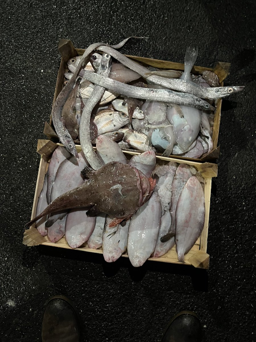 Deniz mahsülleri partisi yapıcam