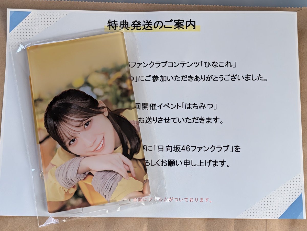 森本茉莉 ひなこれ リアルカード マイル特典 6枚セット 森本茉莉 ひなこれ リアルカード マイル特典 6枚セット 森本茉莉 ひな